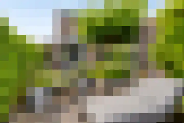 Leviestraat 27 Zuidland thumbnail 44