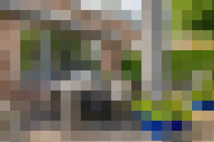Leviestraat 27 Zuidland thumbnail 45
