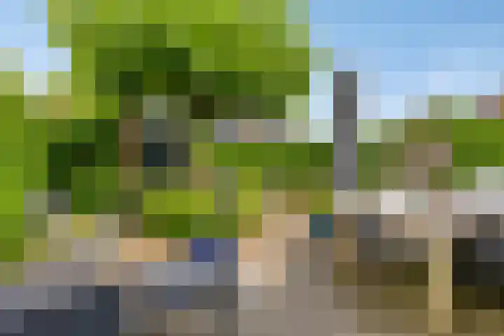Leviestraat 27 Zuidland thumbnail 48