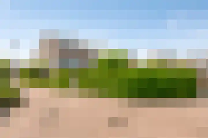 Leviestraat 27 Zuidland thumbnail 49