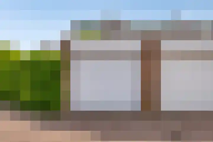 Leviestraat 27 Zuidland thumbnail 50