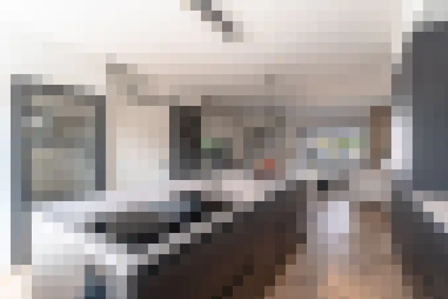 Leviestraat 3 Zuidland thumbnail 16