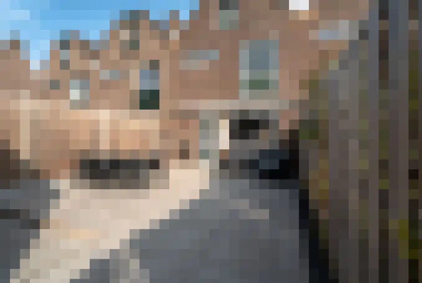 Leviestraat 3 Zuidland thumbnail 18