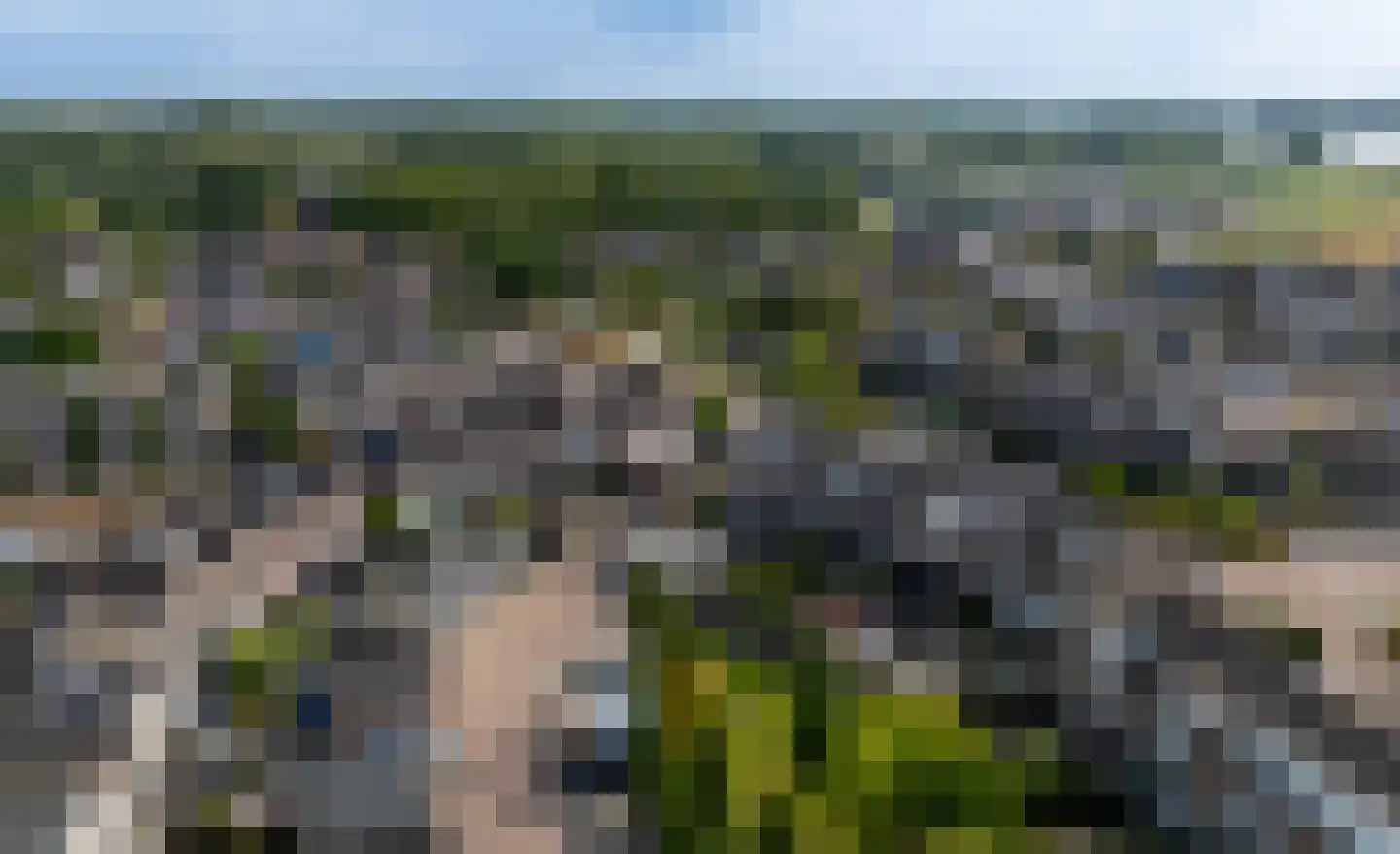 Leviestraat 3 Zuidland thumbnail 23