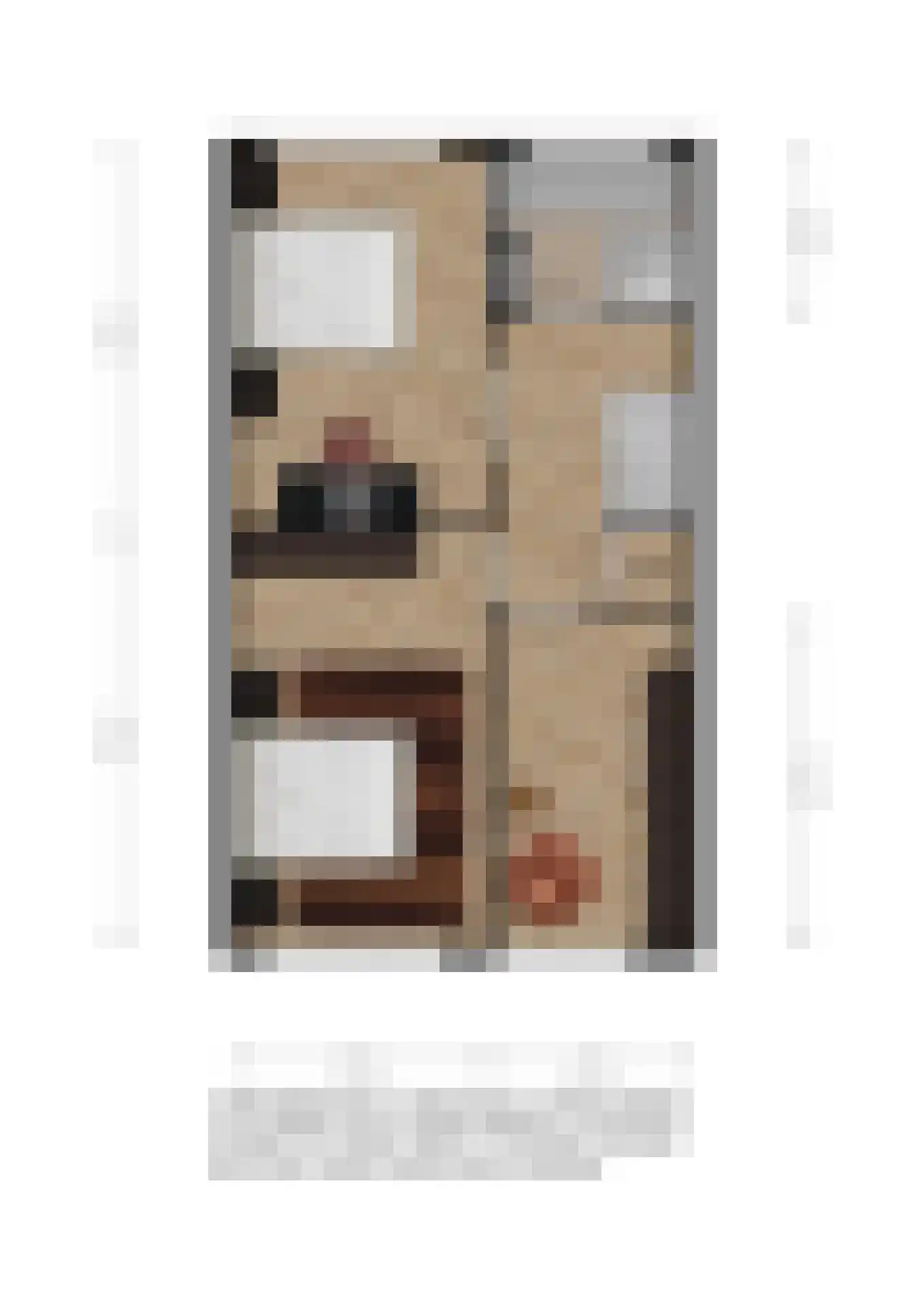 Leviestraat 3 Zuidland thumbnail 25