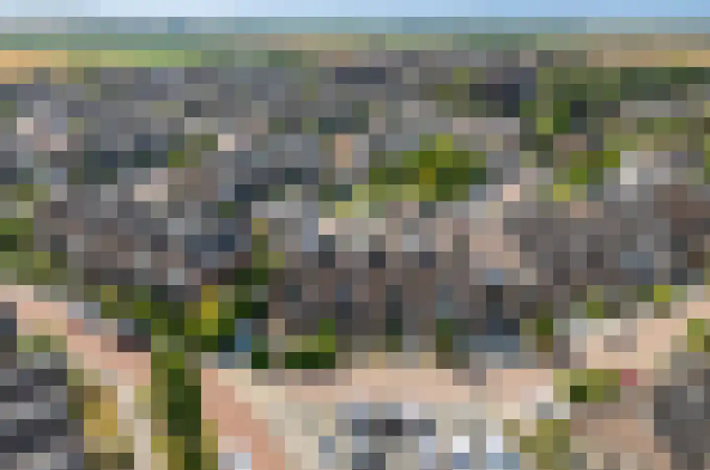 Leviestraat 3 Zuidland thumbnail 7