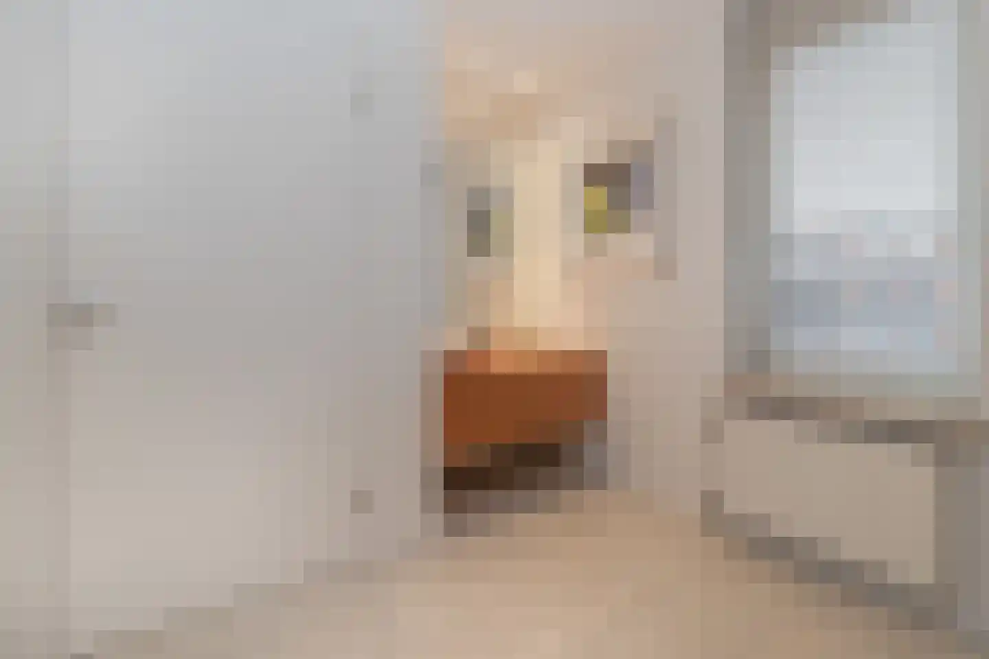 Levignelunet 3 E Maastricht thumbnail 10