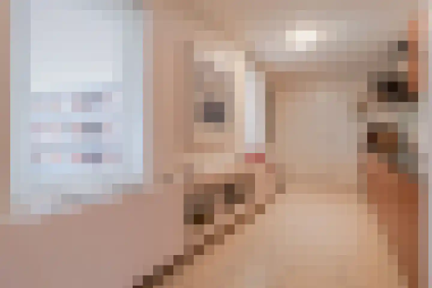 Levignelunet 3 E Maastricht thumbnail 18