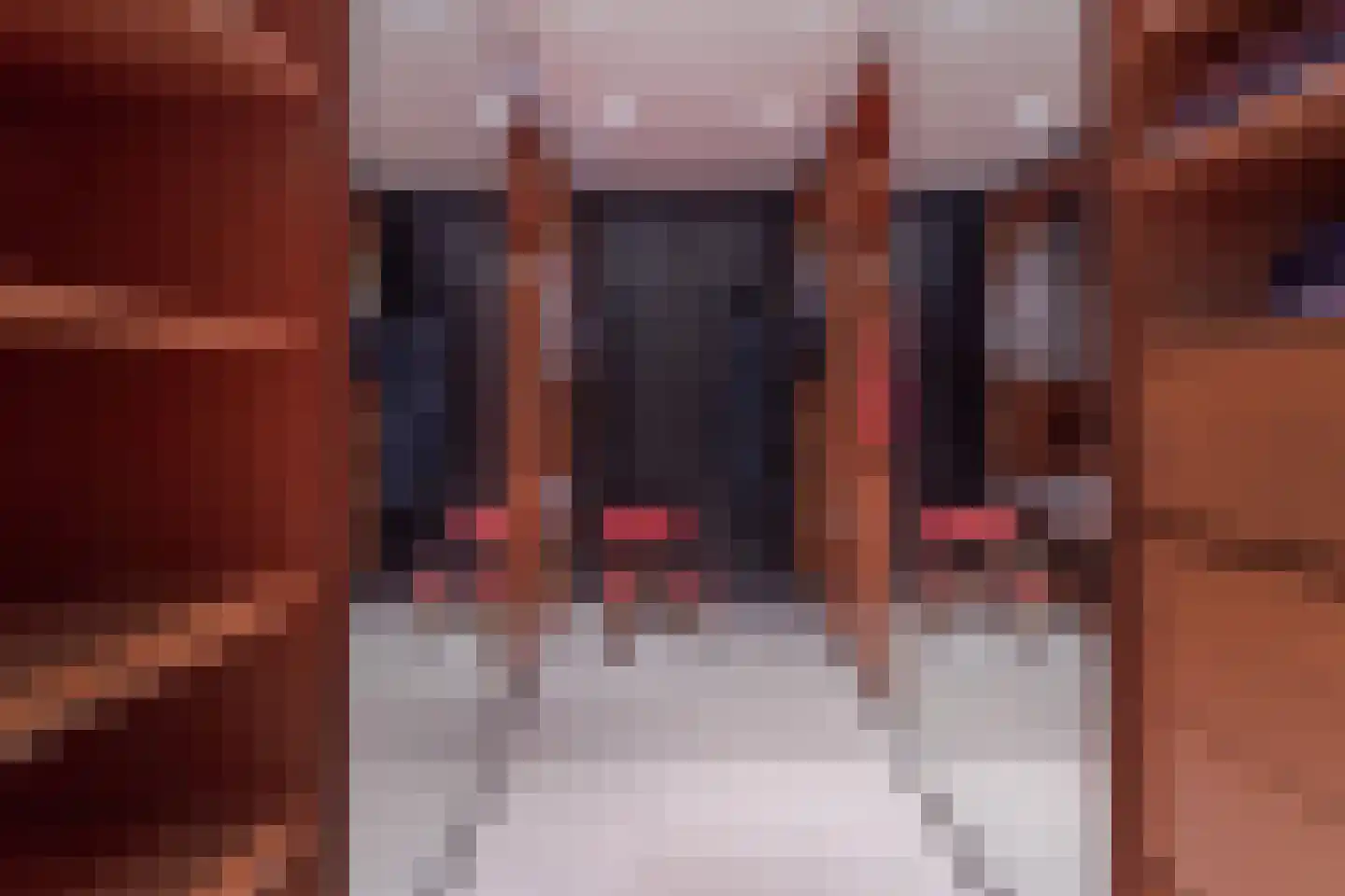 Levignelunet 3 E Maastricht thumbnail 31
