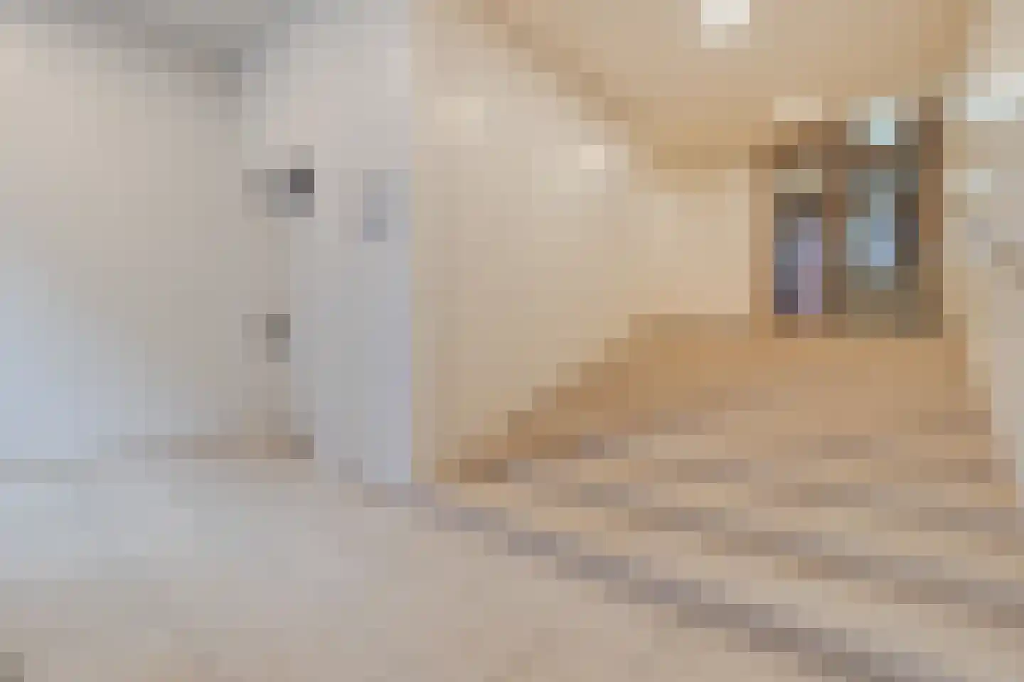 Levignelunet 3 E Maastricht thumbnail 7