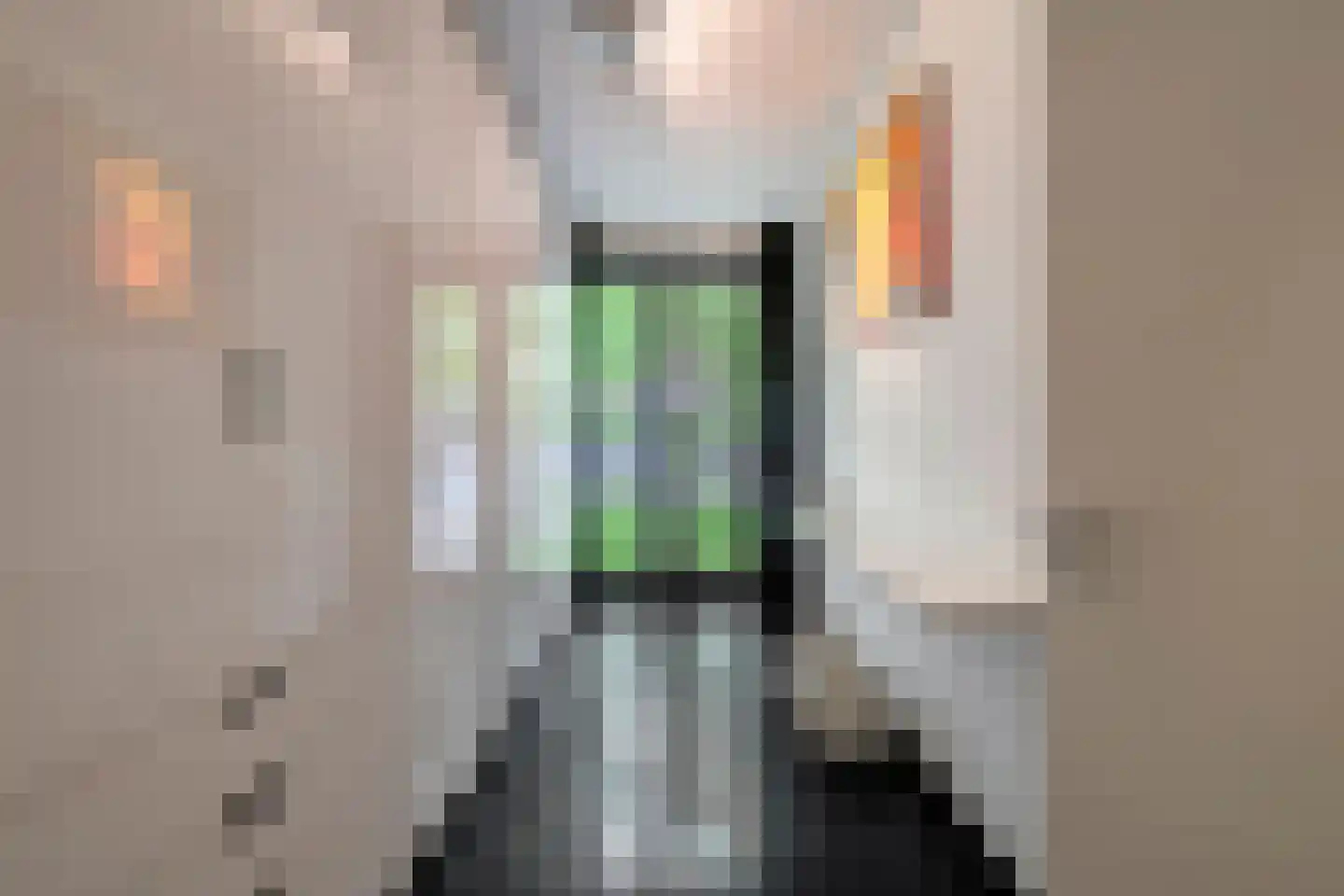 Levignelunet 8 F Maastricht thumbnail 18