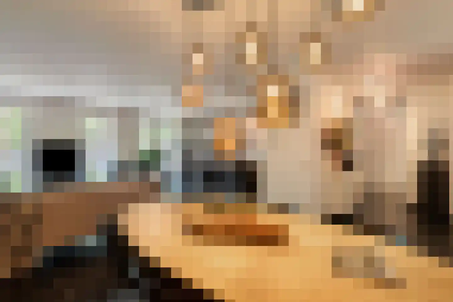 Levignelunet 8 F Maastricht thumbnail 4