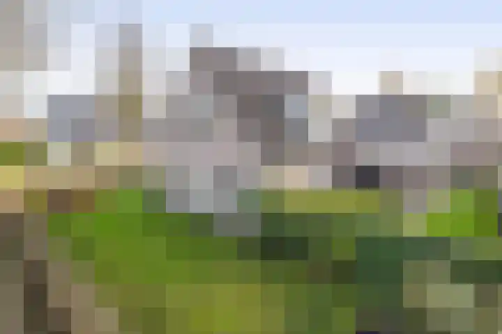 Levimaat 2 Dwingeloo