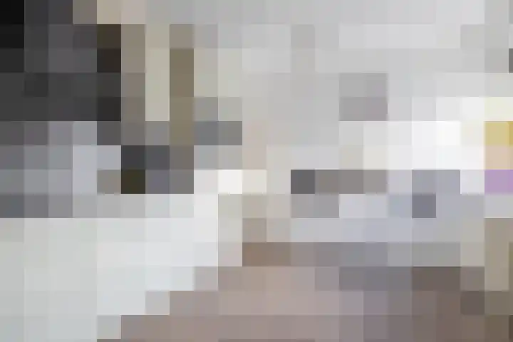 Levimaat 2 Dwingeloo thumbnail 14