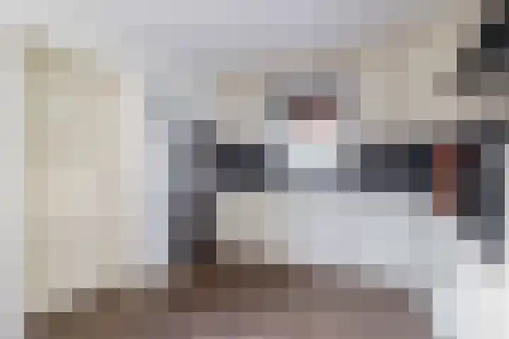 Levimaat 2 Dwingeloo thumbnail 16