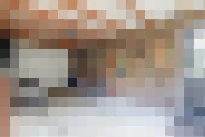 Levimaat 2 Dwingeloo thumbnail 19