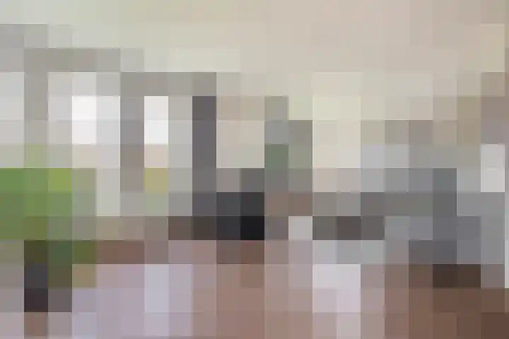 Levimaat 2 Dwingeloo foto 2