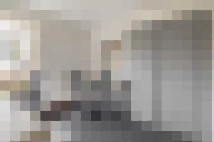 Levimaat 2 Dwingeloo thumbnail 22