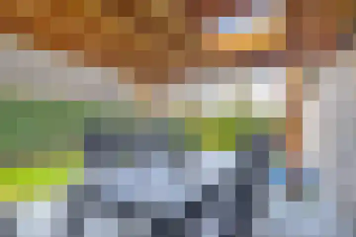 Levimaat 2 Dwingeloo thumbnail 37