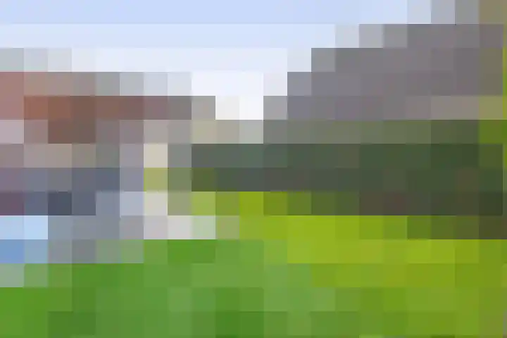 Levimaat 2 Dwingeloo thumbnail 39