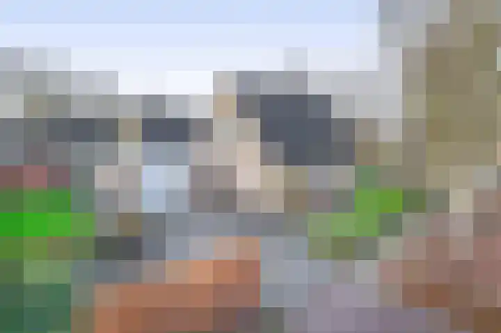 Levimaat 2 Dwingeloo thumbnail 4