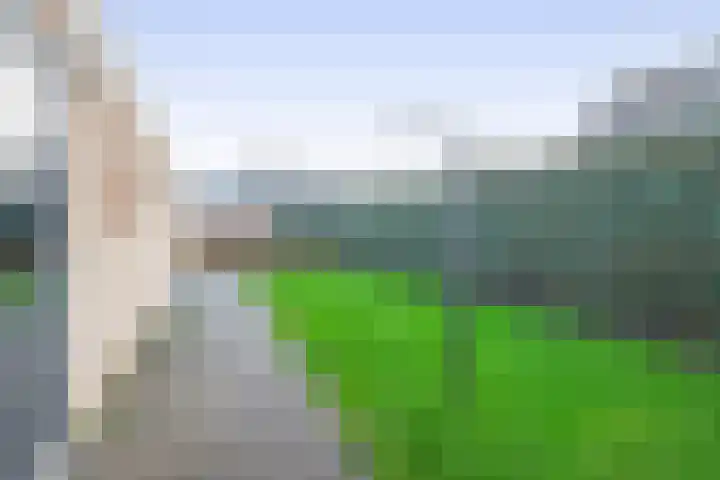 Levimaat 2 Dwingeloo thumbnail 40