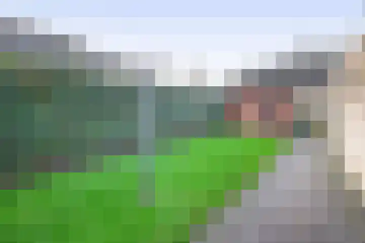 Levimaat 2 Dwingeloo thumbnail 41