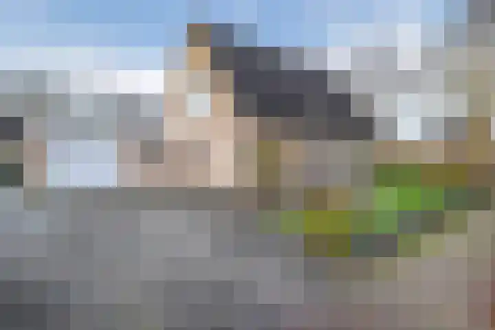 Levimaat 2 Dwingeloo thumbnail 43