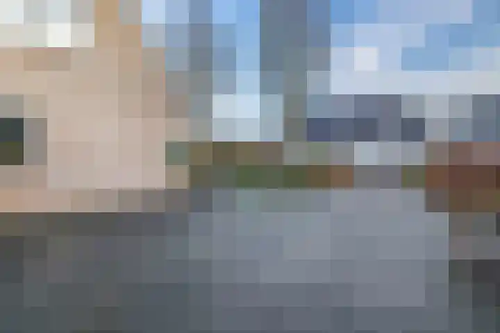 Levimaat 2 Dwingeloo thumbnail 44