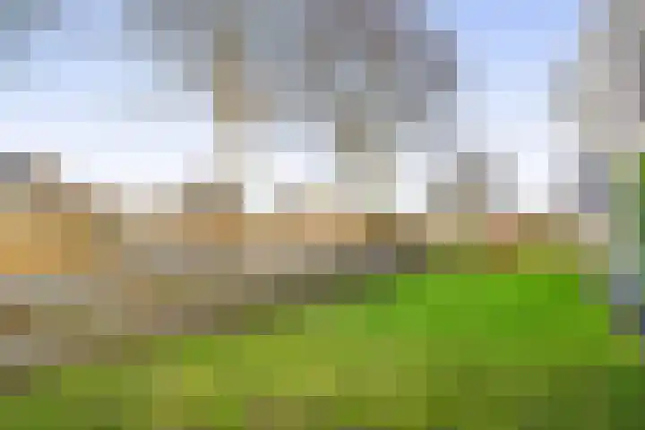 Levimaat 2 Dwingeloo thumbnail 45