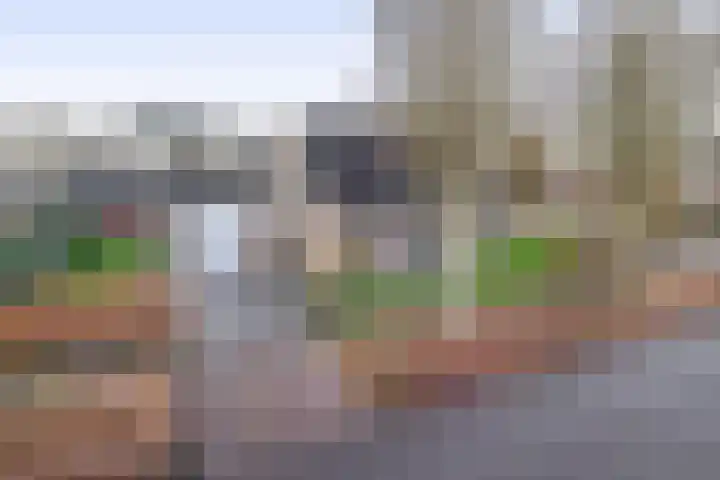 Levimaat 2 Dwingeloo thumbnail 46