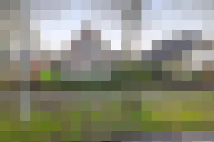 Levimaat 2 Dwingeloo thumbnail 47