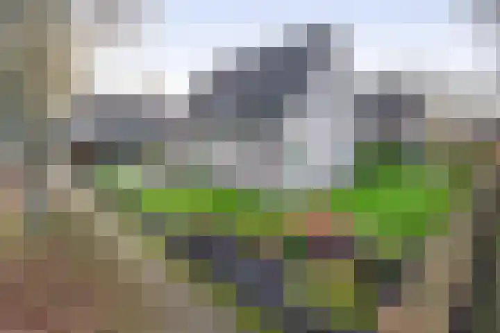 Levimaat 2 Dwingeloo thumbnail 48