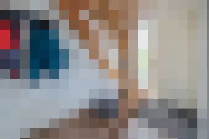 Levimaat 2 Dwingeloo thumbnail 5