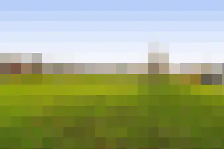 Levimaat 2 Dwingeloo thumbnail 50