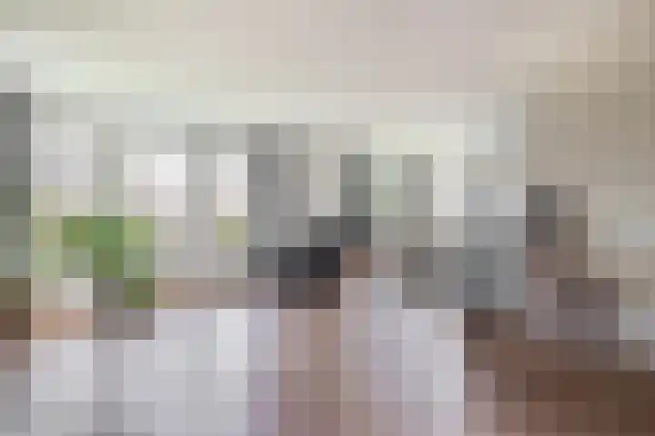 Levimaat 2 Dwingeloo thumbnail 6