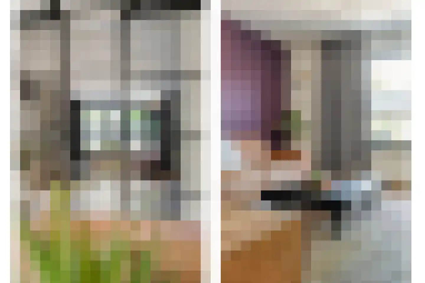 Levimaat 63 Dwingeloo thumbnail 11