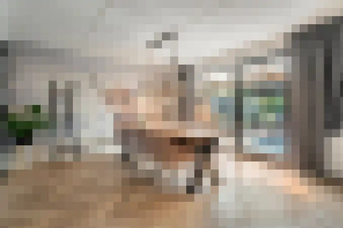 Levimaat 63 Dwingeloo thumbnail 14