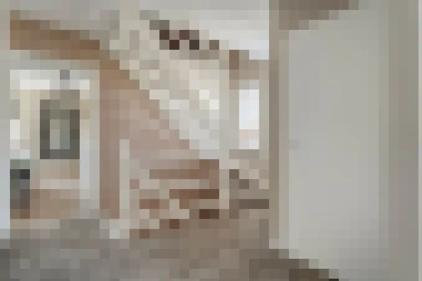 Levimaat 63 Dwingeloo thumbnail 23