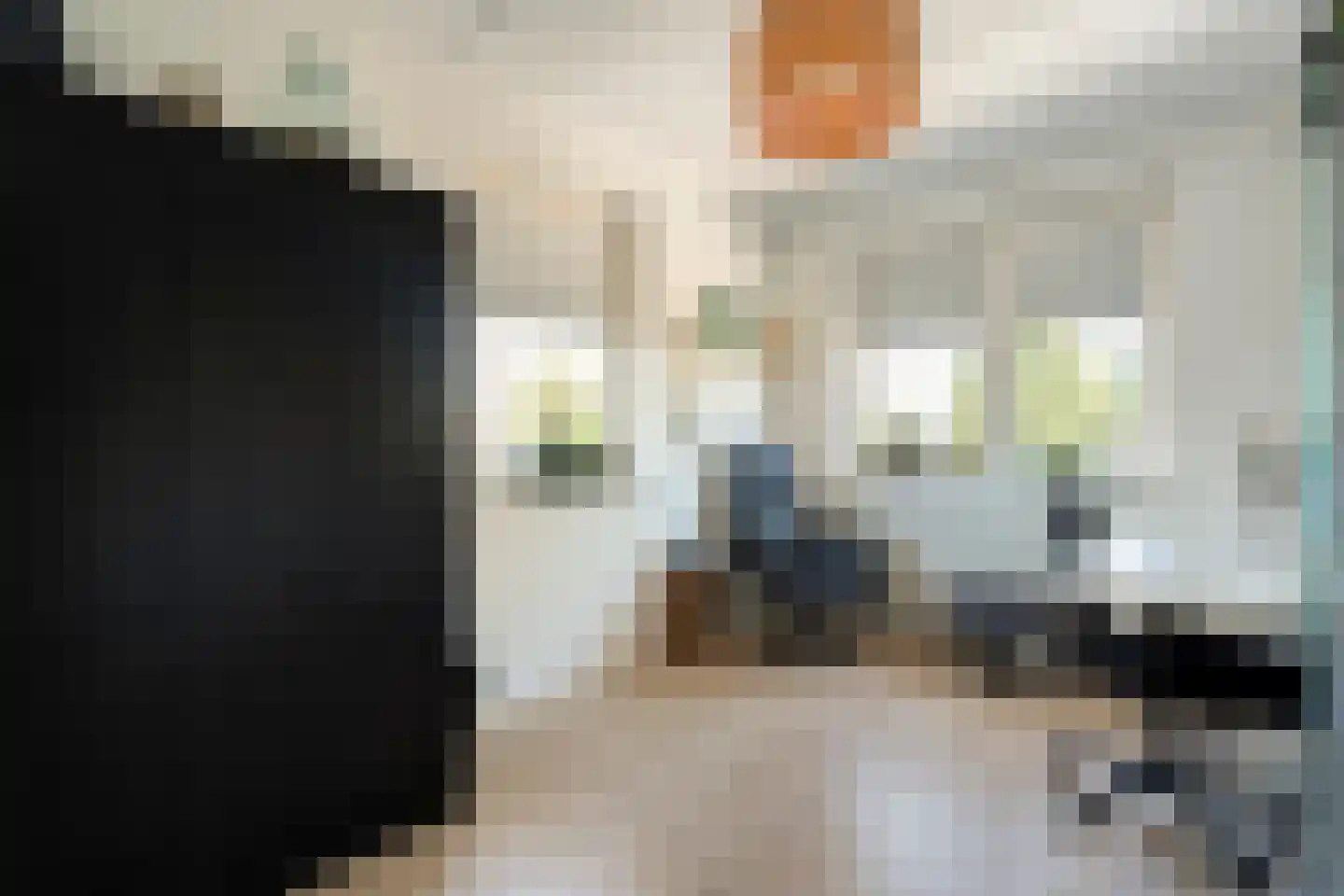 Levimaat 63 Dwingeloo thumbnail 29