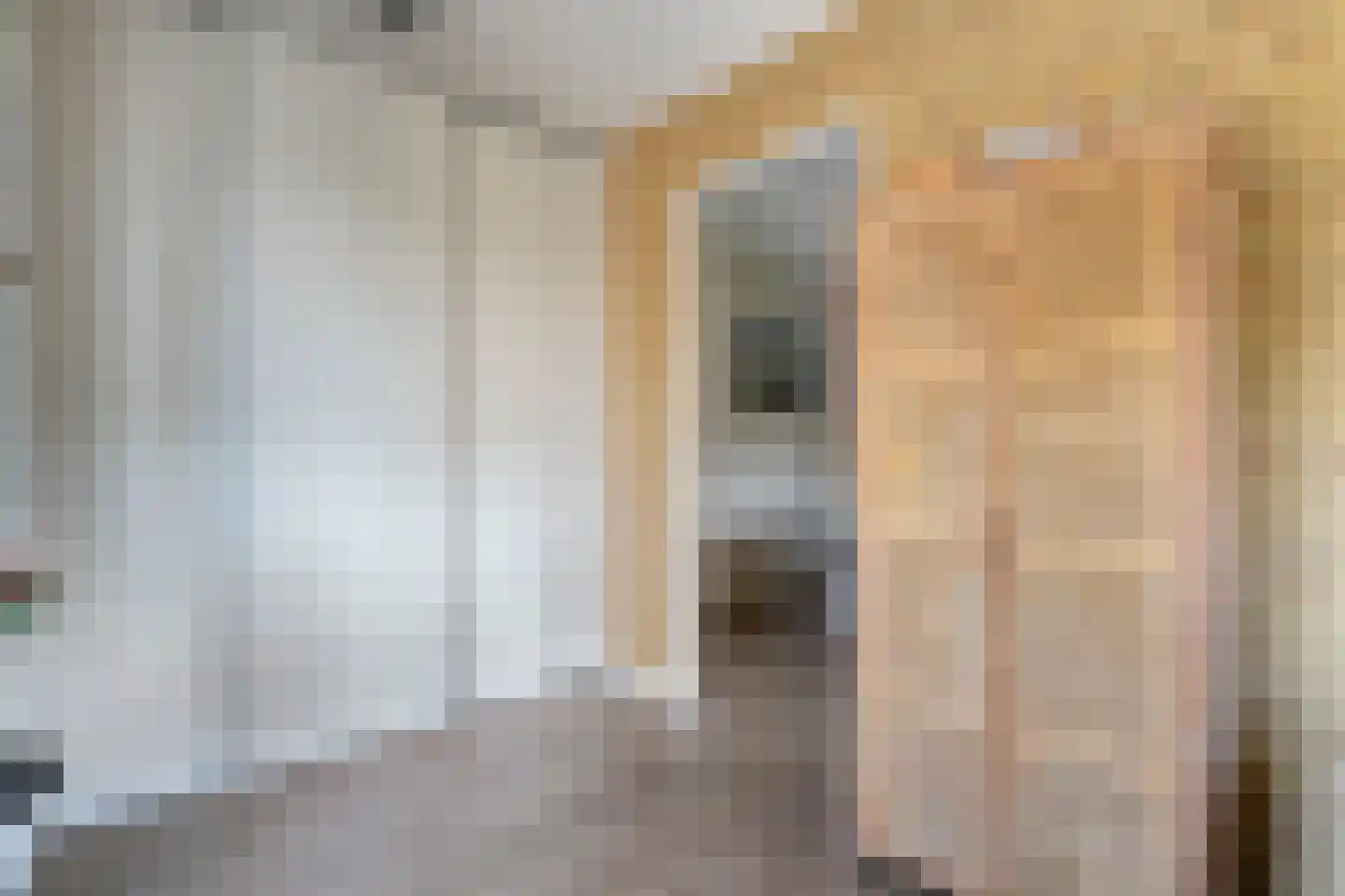 Levimaat 63 Dwingeloo thumbnail 32