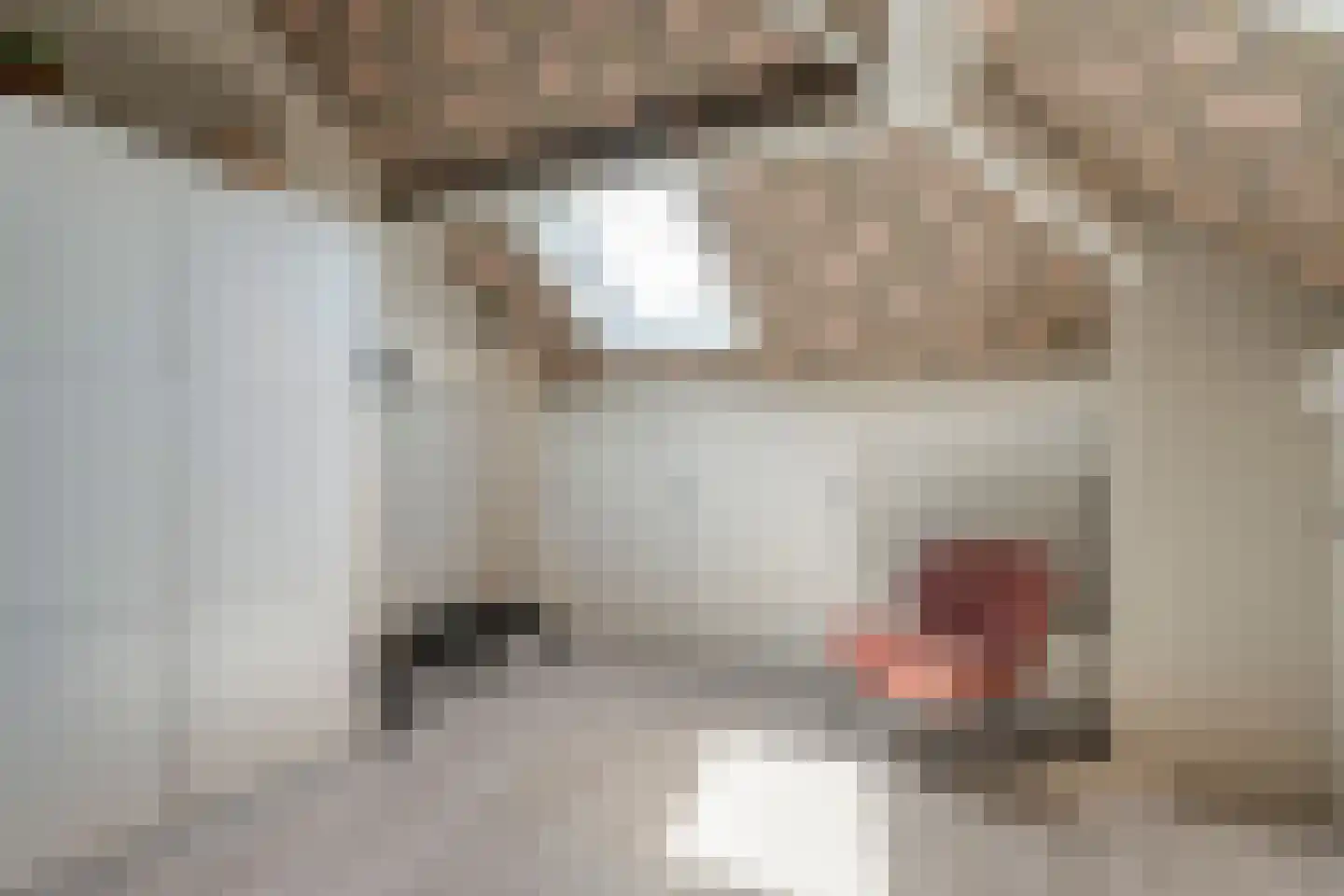 Levimaat 63 Dwingeloo thumbnail 35