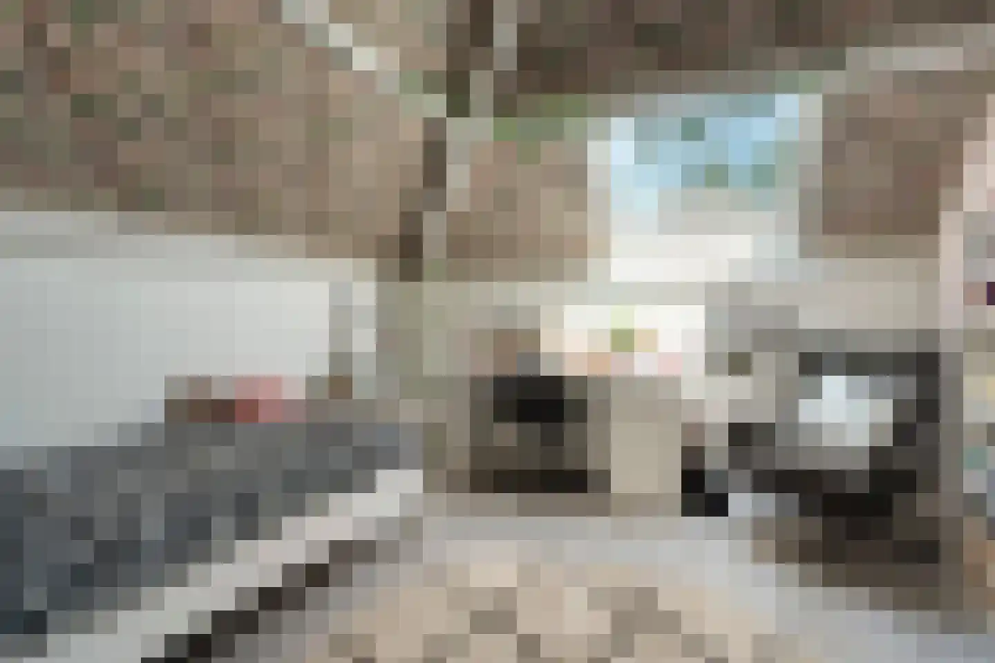 Levimaat 63 Dwingeloo thumbnail 36