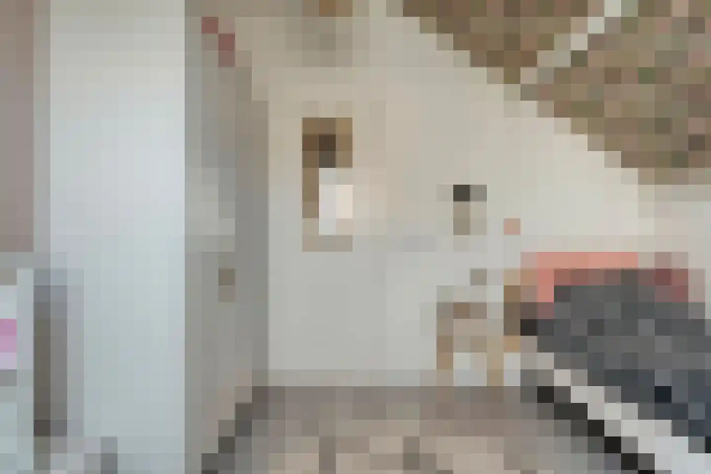 Levimaat 63 Dwingeloo thumbnail 37
