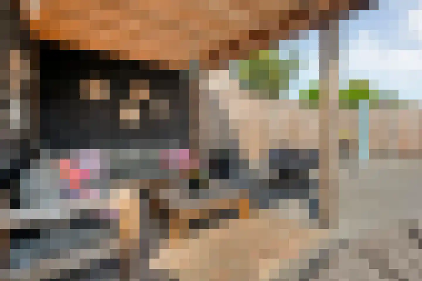 Levimaat 63 Dwingeloo thumbnail 38