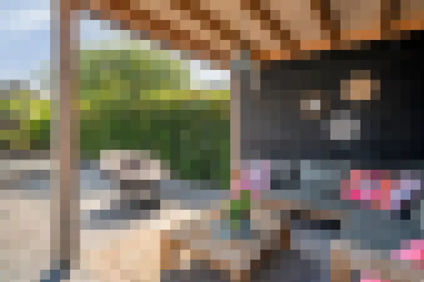 Levimaat 63 Dwingeloo thumbnail 43