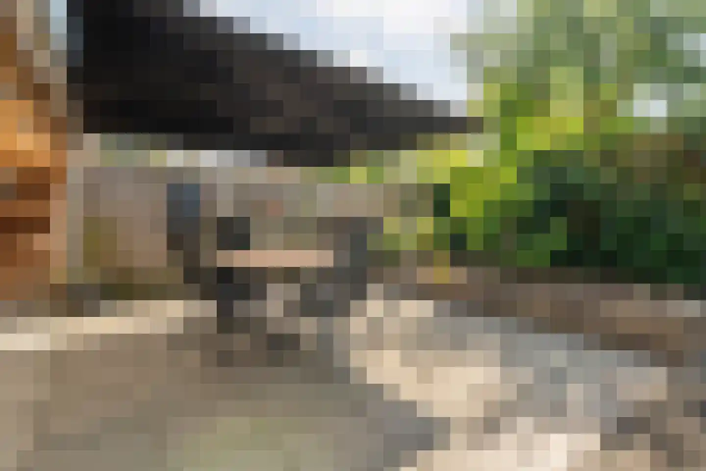 Levimaat 63 Dwingeloo thumbnail 45