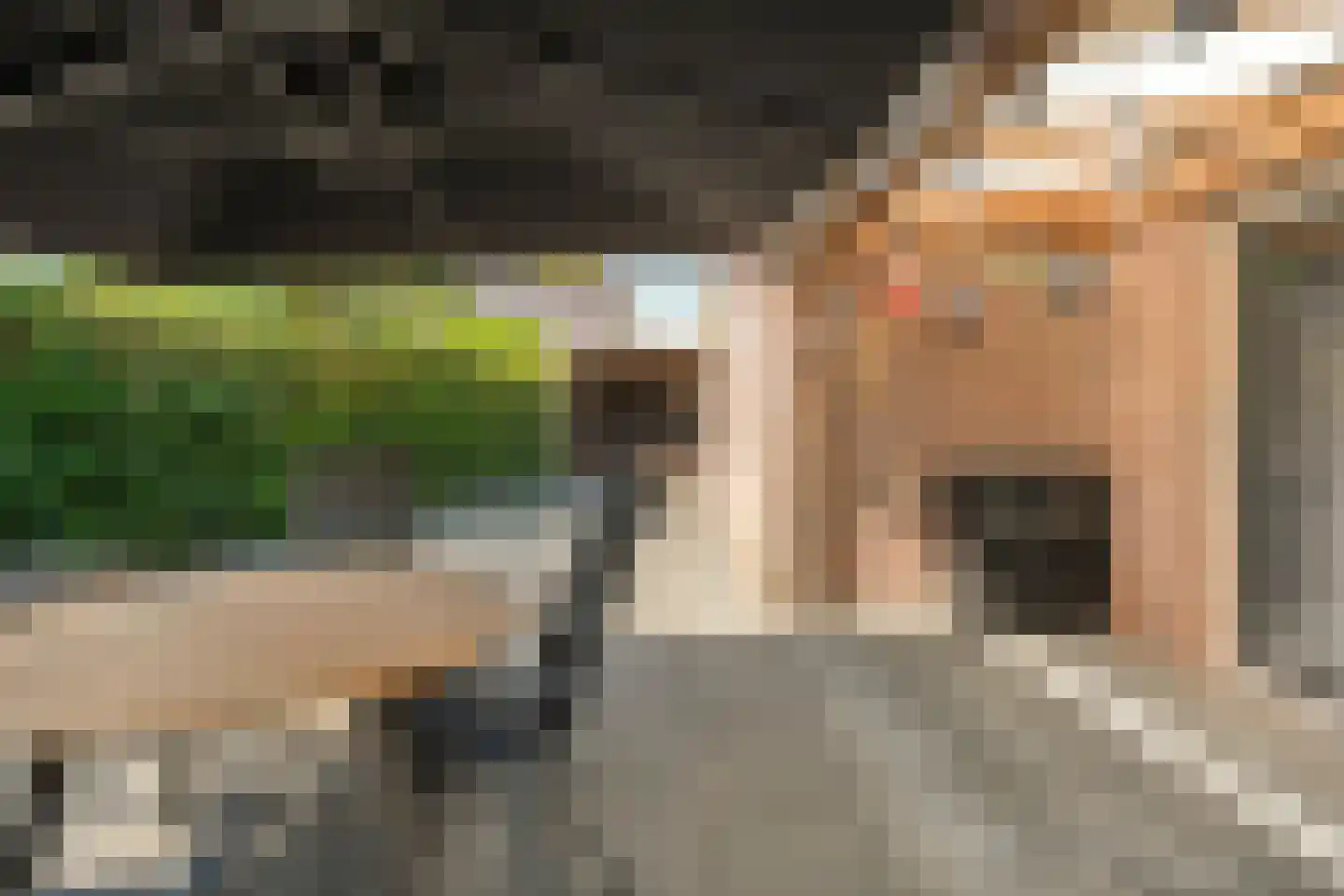 Levimaat 63 Dwingeloo thumbnail 46
