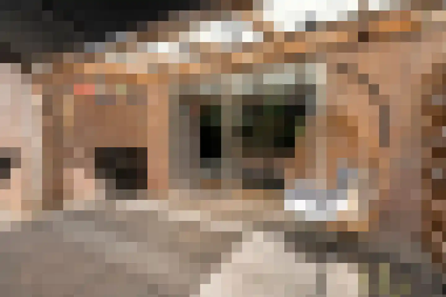 Levimaat 63 Dwingeloo thumbnail 47