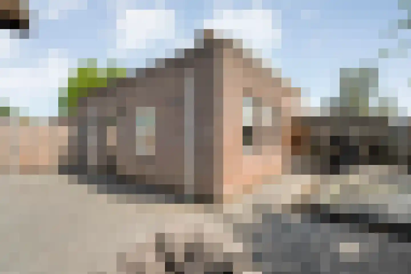 Levimaat 63 Dwingeloo thumbnail 51